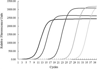 Helicobacter spp. in Necropsied Southern <mark class="highlighted">Sea Otters</mark> (Enhydra lutris nereis) Is Associated With Gastric Ulcers and Sensitive to Multiple Antibiotics